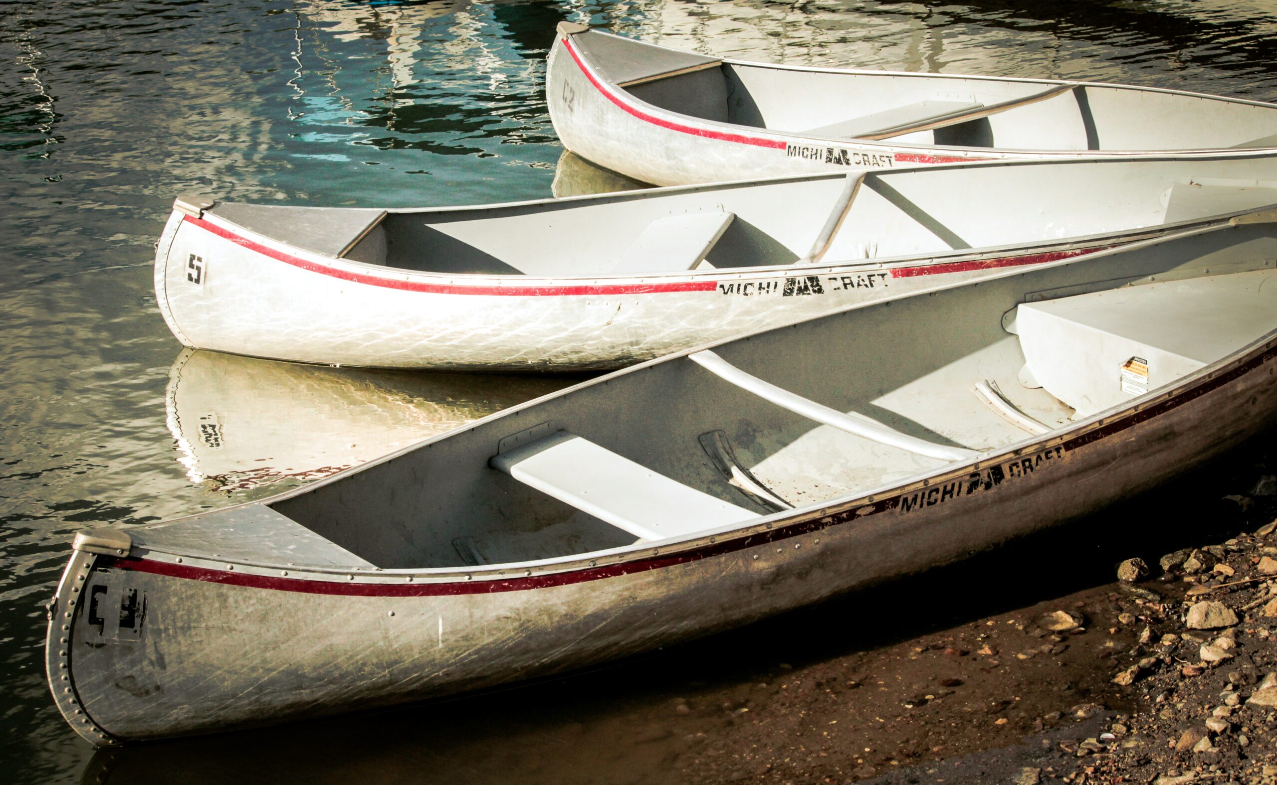 Homepage for Travel boat rental insurance