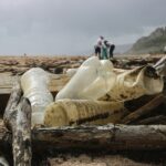 Marine Pollution Liability: What You Need to Know Before Renting a Boat