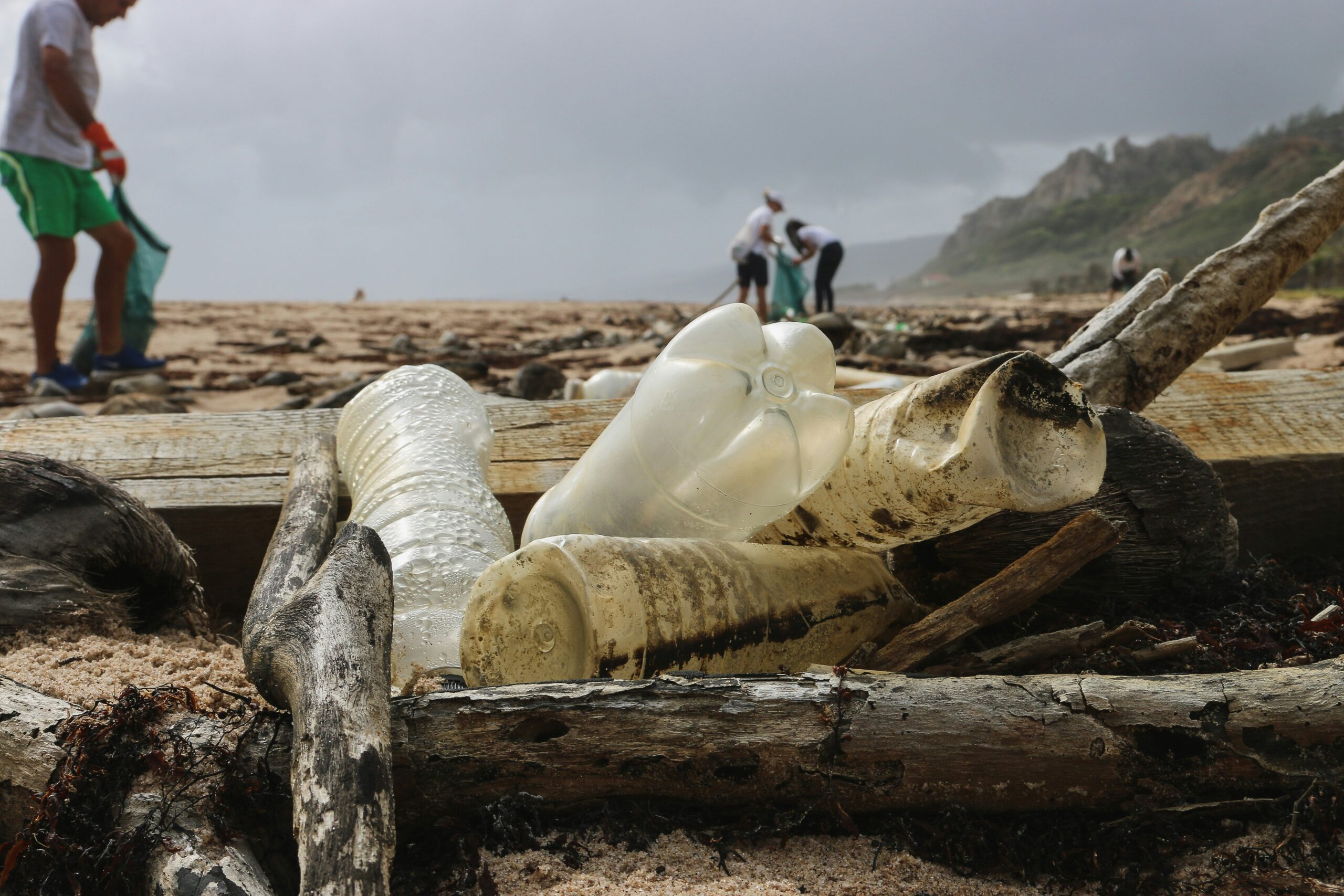 Marine Pollution Liability: What You Need to Know Before Renting a Boat