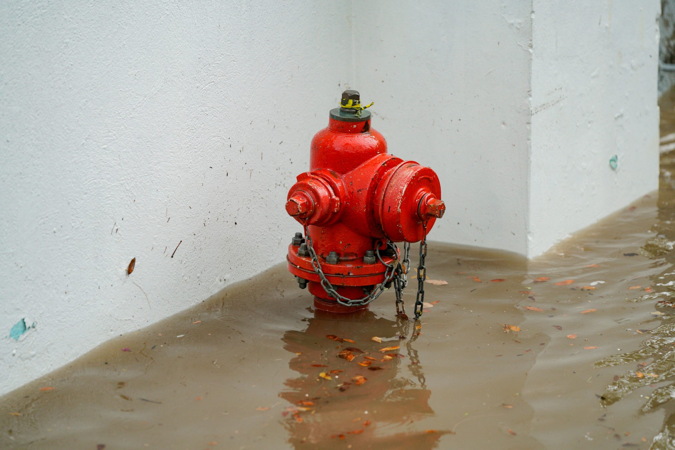 Water Rescue Training: Why It's Essential for Boat Rental Insurance and Your Safety