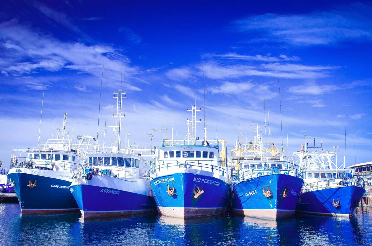 Rental Boat Coverage Explained: Why It’s a Game-Changer for Your Water Adventures