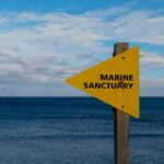 Boat Protection Coverage: Your Ultimate Guide to Stress-Free Boat Rentals