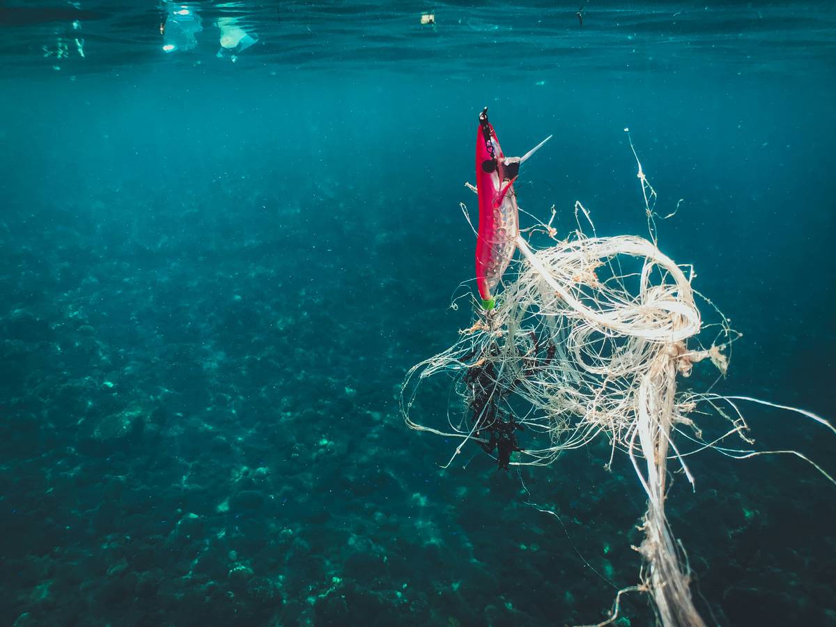 Graphic illustrating real case study icons e.g., life preservers, dollar signs