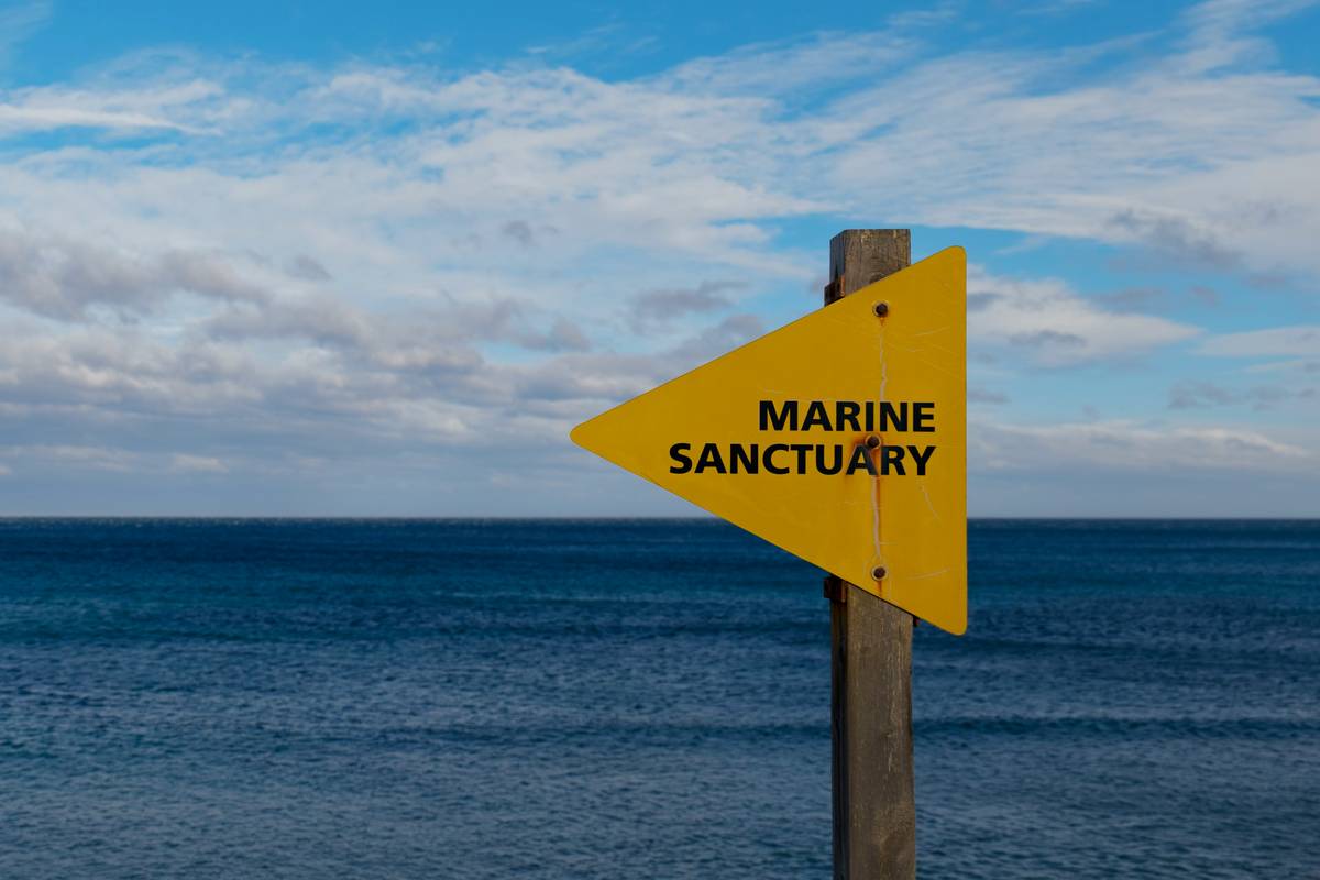 Why Marine Protection Shield is the Unsung Hero of Boat Rental Insurance (And How to Use It)