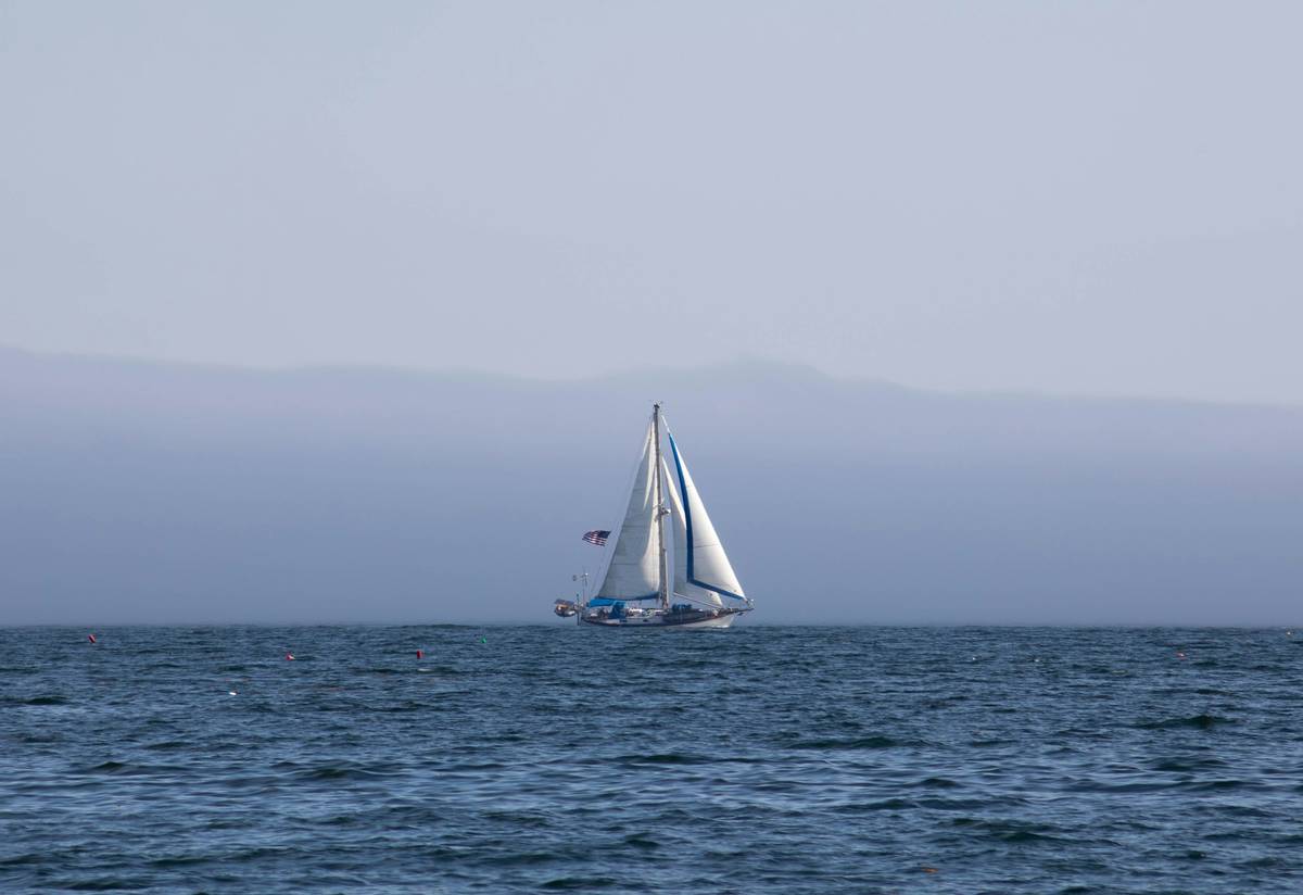 Rescue operation showing teamwork during a boating incident