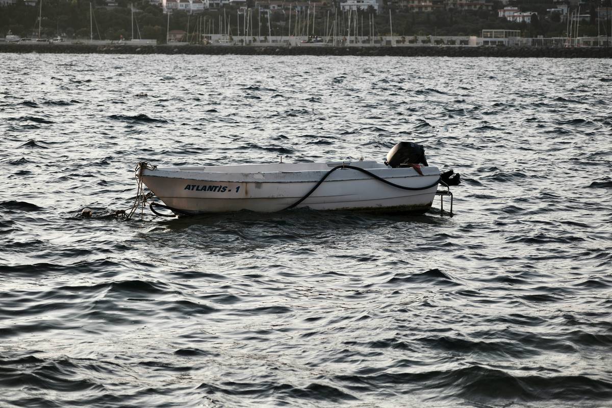Seagull sitting on the roof of a rescue boat causing minor damage